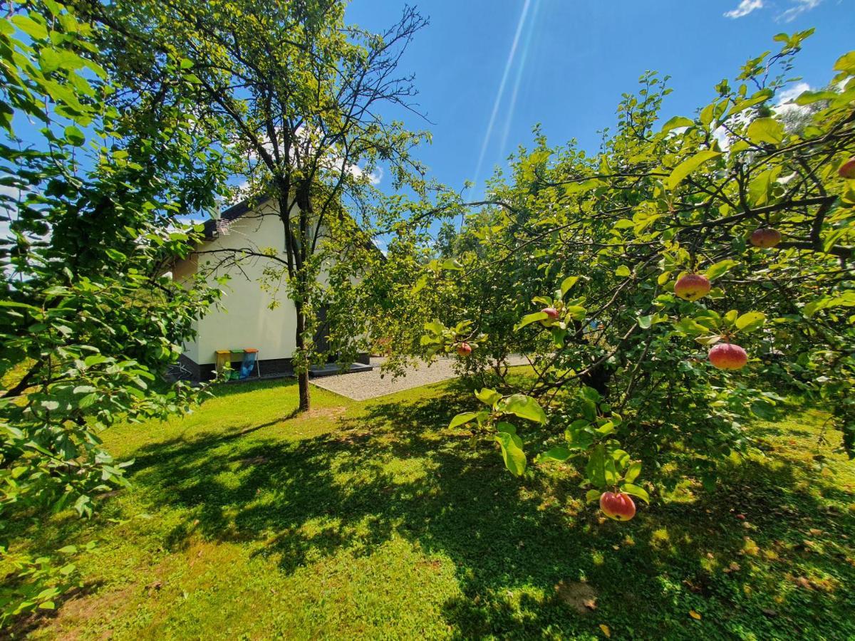 Tetmajera View & Garden Villa Debica  Luaran gambar